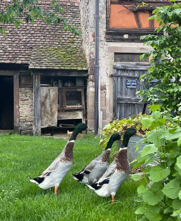 La Ferme De Marie Apartment Rangen Exterior photo